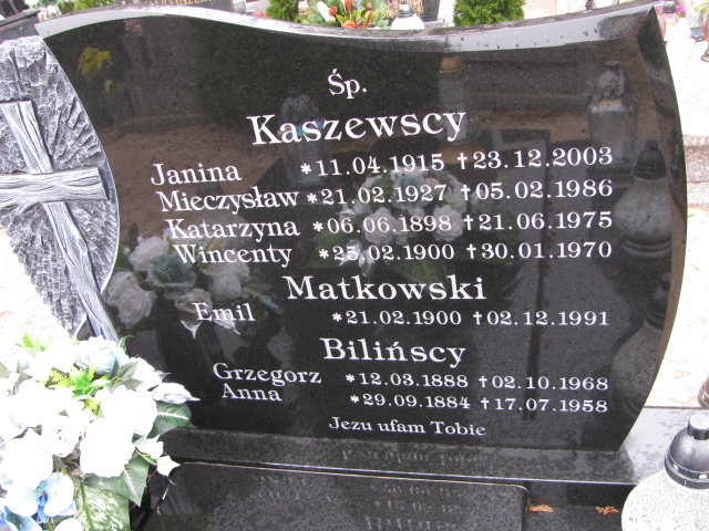 Anna Bilińska 1884 Słońsk - Grobonet - Wyszukiwarka osób pochowanych