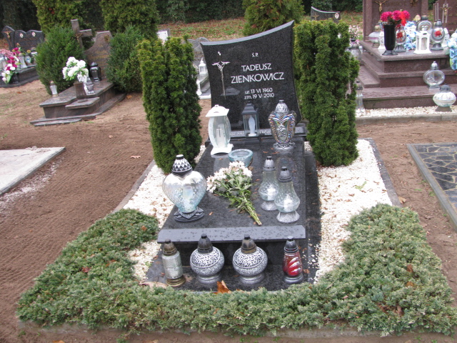 Grób Tadeusz Zienkowicz